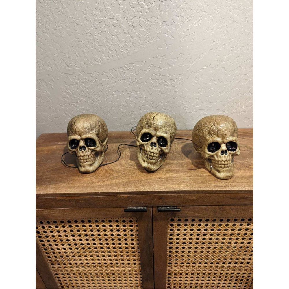 2010 Magic Power Co Set of 3 Skull Molds Works Lights Sound